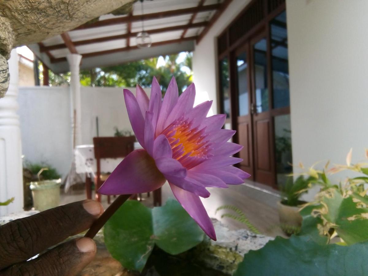 Sisila Villa Bentota Extérieur photo